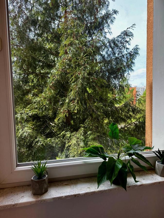 #3 Uroczy Pokoj Niedaleko Morza W Gdansku ! Exteriér fotografie
